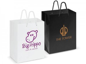 pic of two promotional paper bags
