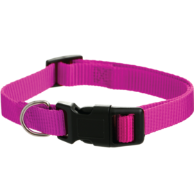 Dog Collars - 20mm