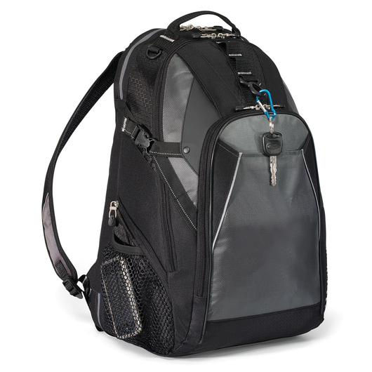Apex Computer Backpacks