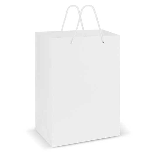 Large Laminated Carry Bags