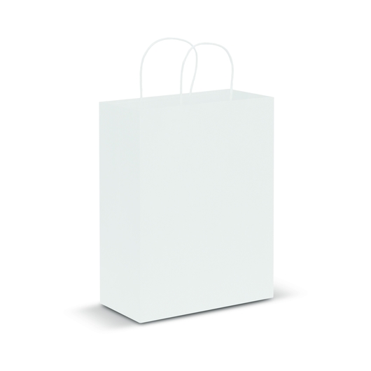 Large Paper Carry Bags