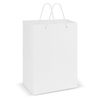 Large Laminated Carry Bags