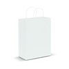 Large Paper Carry Bags